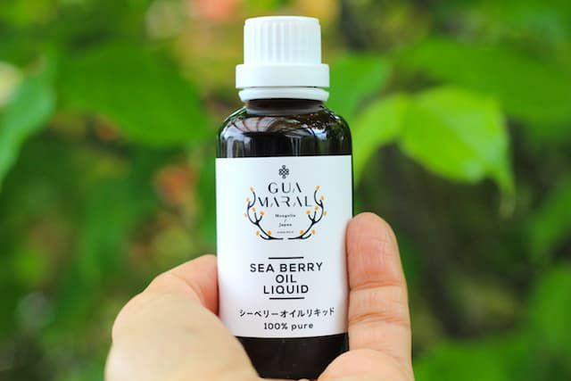 貴重な無農薬・野生のシーベリーオイル