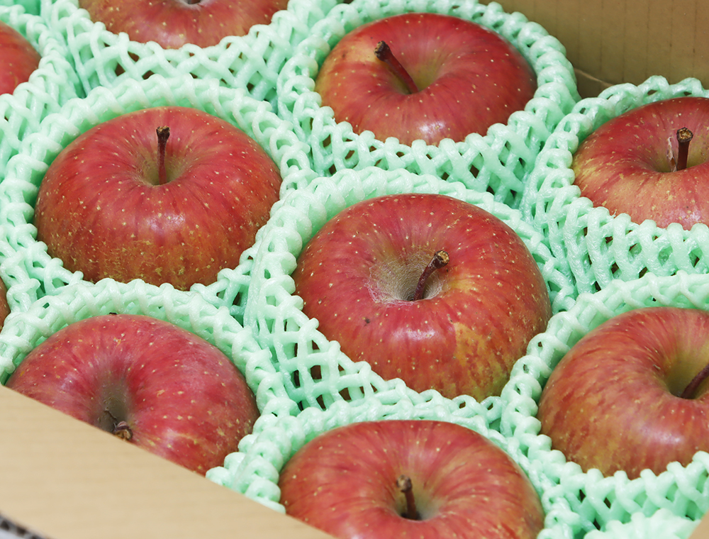 超貴重な有機基準レベルのりんご(秋田県産)|数千個単位でバカ売れした超待望の「林檎」!苦難を乗り越え、ようやく満足のいく仕上がりに!奇跡の復活を遂げたりんご!